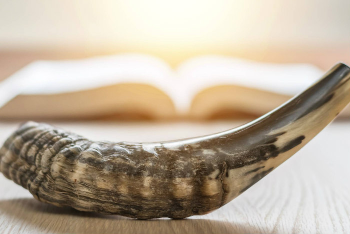 Shofar in front of an open book