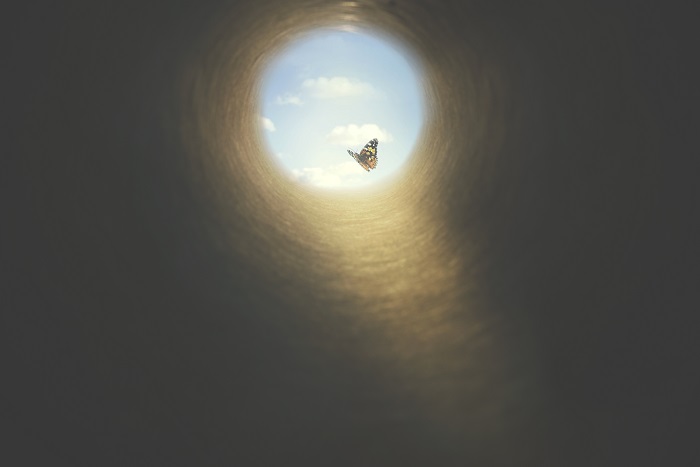 light at the end of the tunnel. butterfly in the sunlight.