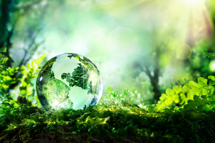 Translucent globe sitting on a forest floor