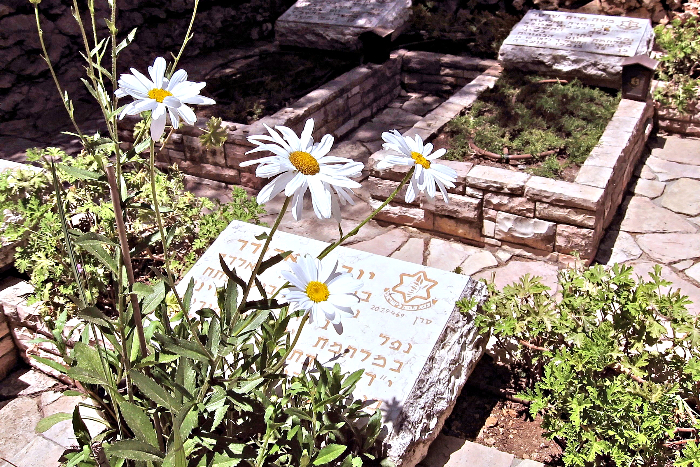 A few gravestones at Mount Herlz military cemetery in Israel