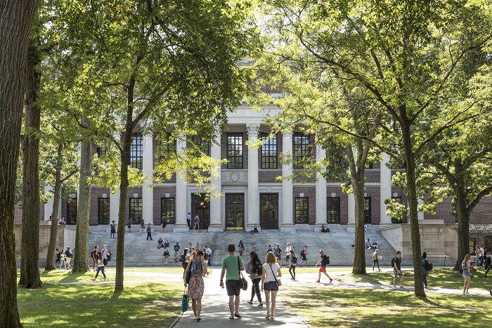 Harvard library 