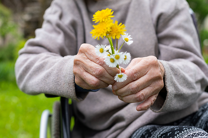 Photo of an older person sitting in a wheel chair holding yellow flowers