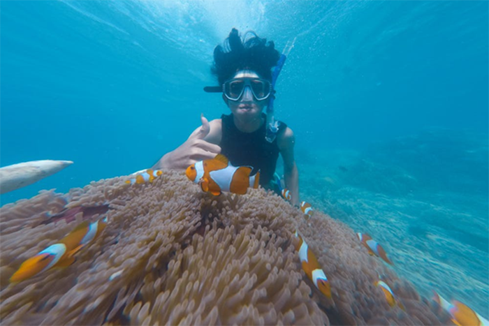 Photo of a person snorkeling in the Red Sea in Eilat