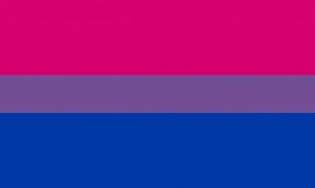 Bisexual Pride Flag