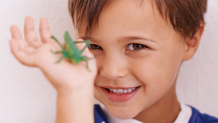 Child holding a grasshopper