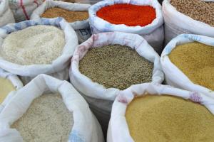 grains during the jewish holiday of passover
