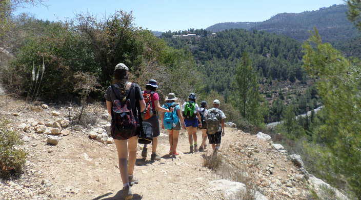 Line of six hikers on a trail walking away from the camera
