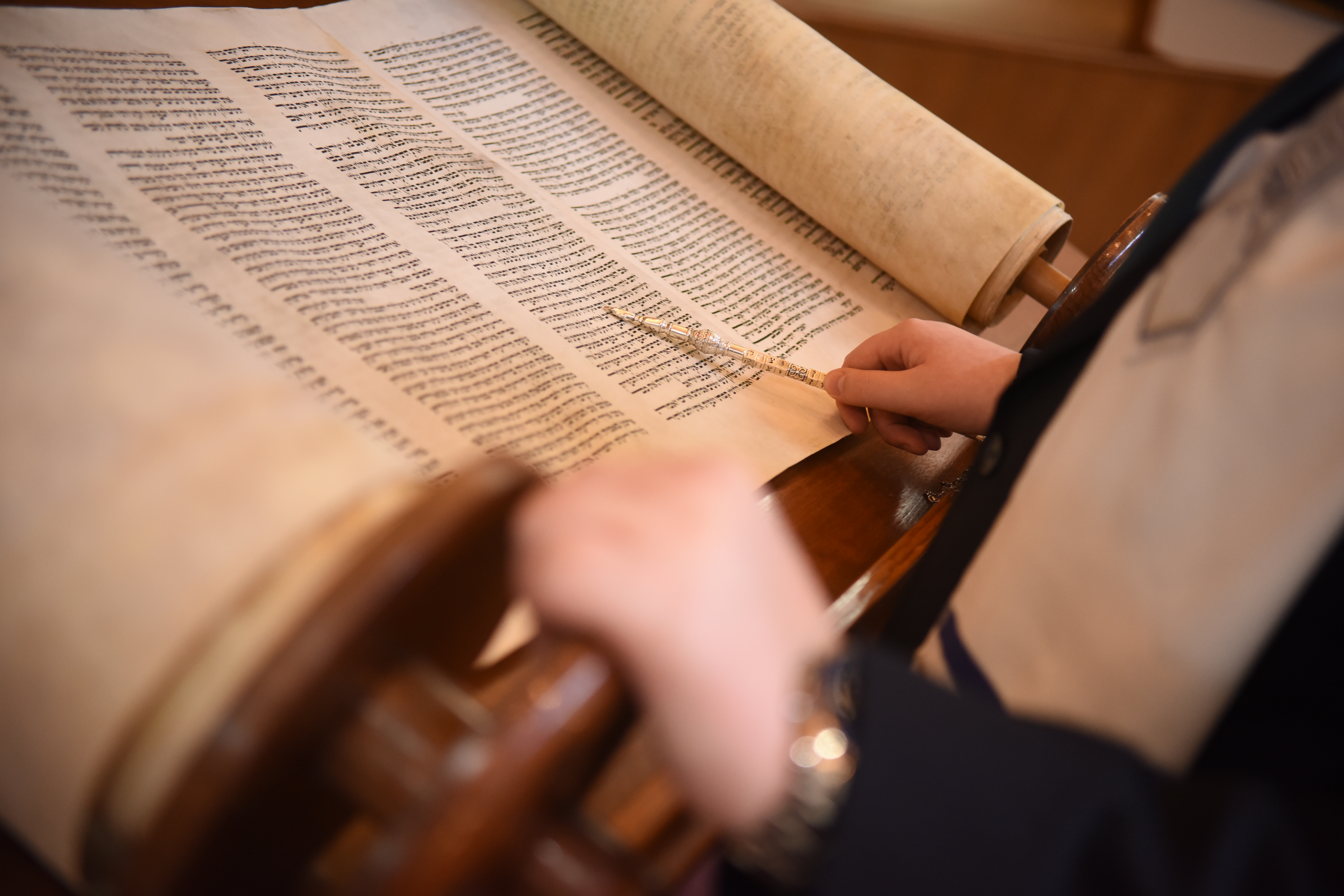 Torah Portion