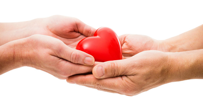 Two people's hands cradling a heart