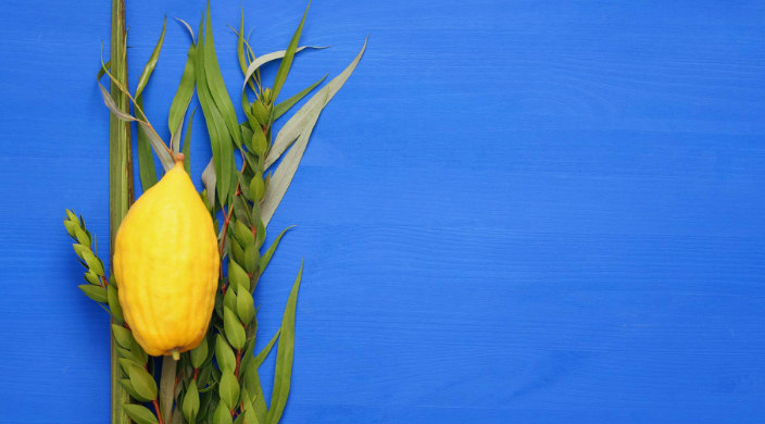 Lulav and etrog against a bright blue background