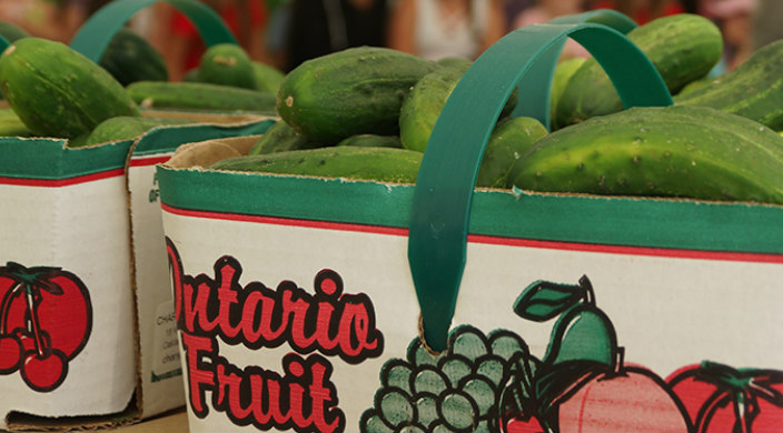 Pickles in an Ontario Fruit container