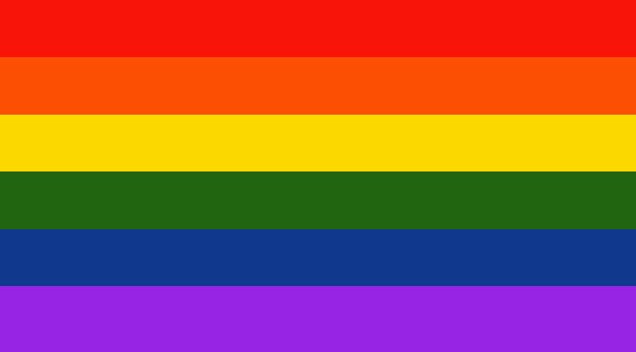 stupid lesbian gay flag pride month