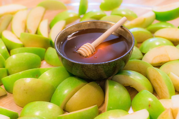 photo of a bowl of honey sitting in the middle of cut up apples