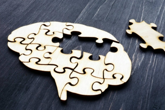 Wooden puzzle in the shape of a brain with one piece removed