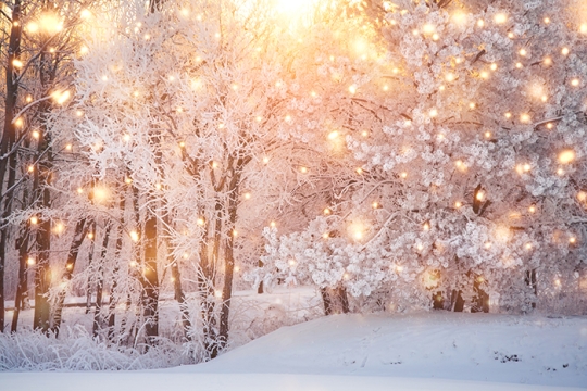 winter scene with lights