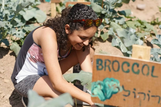 Girl crouched over planting broccoli next to a sign bearing the word in Hebrew
