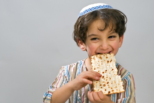4 year old boy eating a piece of matzah