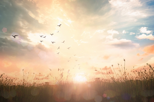 peaceful sunset