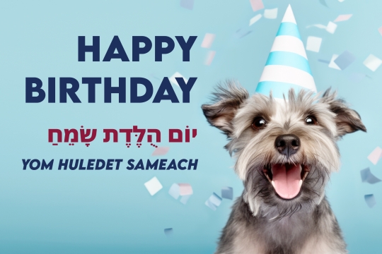 Ecard with an image of a dog wearing a party hat; says "Happy Birthday - Yom Huledet Sameach"
