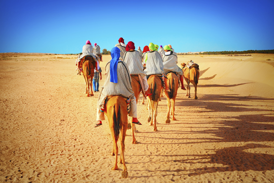 Photo of people riding camels in a desert