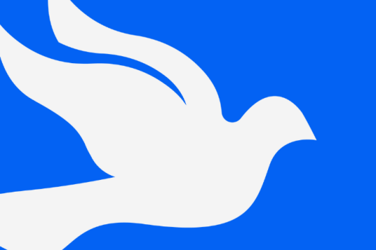 an image of a white dove