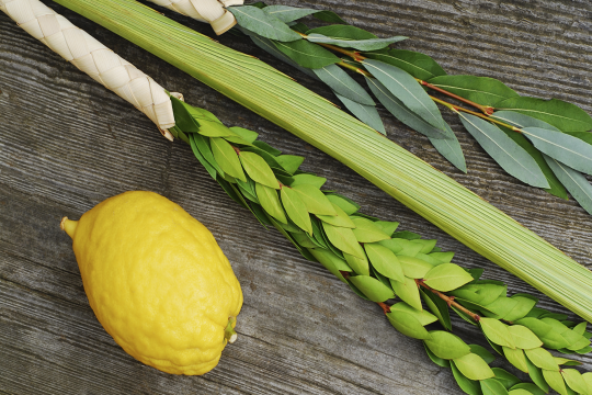 Etrog and Lulav