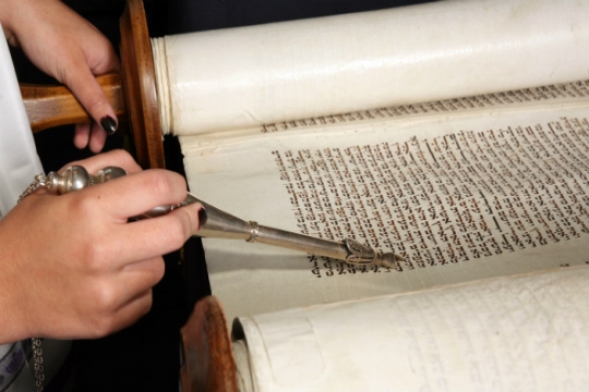 Woman holding Torah scroll open with left hand, pointing at text with yad in right hand 