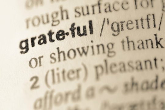 Dictionary entry for grateful