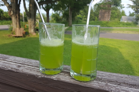 citrus spritz surprise