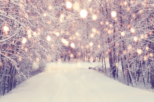 Snow covered road surrounded by trees -- and white lights in the foreground