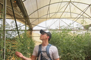 Photo of a guy in a greenhouse in Kibbutz Dorot