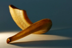 Minimalistic photograph of a twisted shofar against a light blue background 