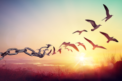 Freedom - Chains That Transform Into Birds