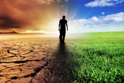 an image of a man blacked out standing in between a sandy desert and a grassy, green field
