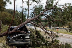 Car smashed under a downed tree in damage after a hurricane