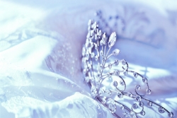 Silver crystal studded crown lying on pillowy satin material