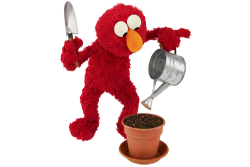 Learn about Tu Bishvat with Elmo, Grover and the characters of Shalom Sesame