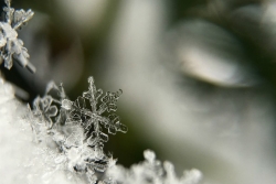 Closeup of snowflakes
