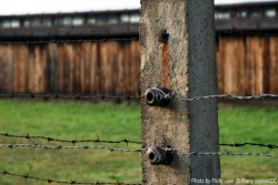Barbed wire fence and barracks at Auschwitz
