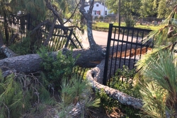 Damage caused to cemetery fence by a tree that fell during Hurricane Florence
