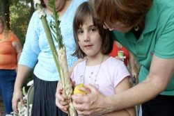 Young girl learning to shake the lulav