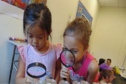 Two pre-school girls looking through magnifying glasses at objects on a table