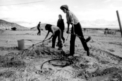 Black and white photo of people working the land on an early kibbutz