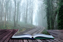 Open book with pages that become a path in the woods