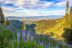 Panoramic of Utah landscape
