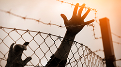 Hands struggle to climb a barbed-wire fence