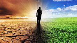 A man stands between a parched field and a field of plenty