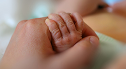 Adult hand holding an infant's hand