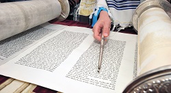 a hand holding a yad points to text in a Torah scroll