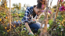 A young woman gardening